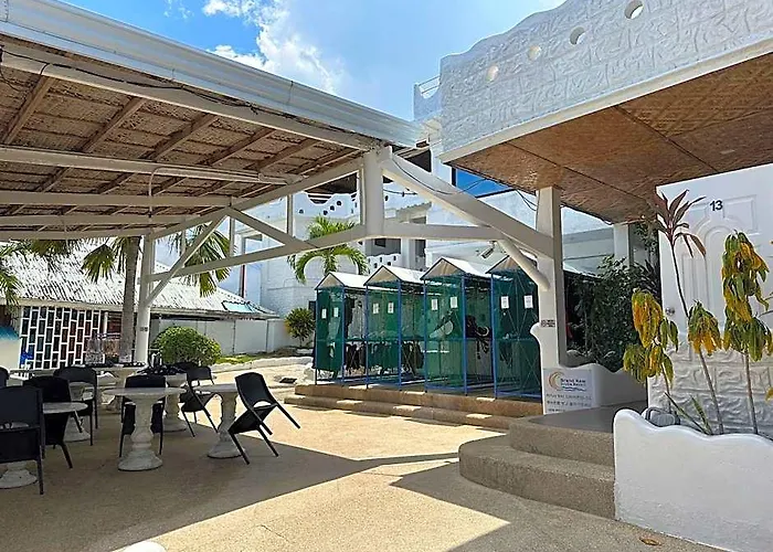 Brandnew Scuba 3* Moalboal